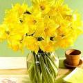 poze Buchete mireasa/ Aranjamente florale