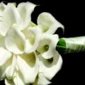 poze Buchete mireasa/ Aranjamente florale