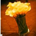 poze Buchete mireasa/ Aranjamente florale