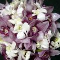 poze Buchete mireasa/ Aranjamente florale