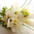 poze Buchete mireasa/ Aranjamente florale