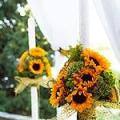 poze Buchete mireasa/ Aranjamente florale