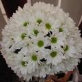 poze Buchete mireasa/ Aranjamente florale