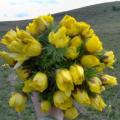 poze Buchete mireasa/ Aranjamente florale