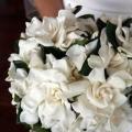 poze Buchete mireasa/ Aranjamente florale