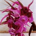 poze Buchete mireasa/ Aranjamente florale