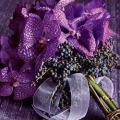 poze Buchete mireasa/ Aranjamente florale