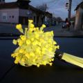 poze Buchete mireasa/ Aranjamente florale