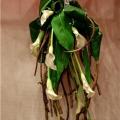 poze Buchete mireasa/ Aranjamente florale