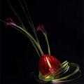 poze Buchete mireasa/ Aranjamente florale