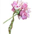 poze Buchete mireasa/ Aranjamente florale