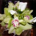 poze Buchete mireasa/ Aranjamente florale