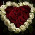 poze Buchete mireasa/ Aranjamente florale