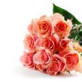 poze Buchete mireasa/ Aranjamente florale