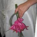 poze Buchete mireasa/ Aranjamente florale