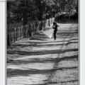 Fotografii nunta artistice