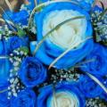 Buchete mireasa/ Aranjamente florale