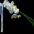 Buchete mireasa/ Aranjamente florale
