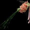 Buchete mireasa/ Aranjamente florale