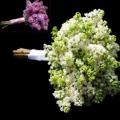 poze Buchete mireasa/ Aranjamente florale