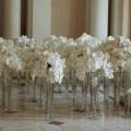 poze Buchete mireasa/ Aranjamente florale