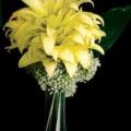 poze Buchete mireasa/ Aranjamente florale