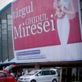poze Ghidul Miresei