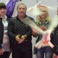 poze Ghidul Miresei