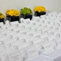 poze Invitatii nunta/ Carduri nunti