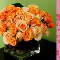 poze Buchete mireasa/ Aranjamente florale