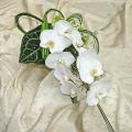 poze Buchete mireasa/ Aranjamente florale