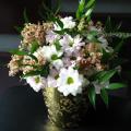 poze Buchete mireasa/ Aranjamente florale