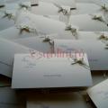 Invitatii nunta/ Carduri nunti
