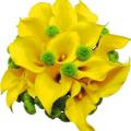 poze Buchete mireasa/ Aranjamente florale