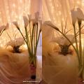 Buchete mireasa/ Aranjamente florale