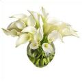 poze Buchete mireasa/ Aranjamente florale
