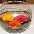 Buchete mireasa/ Aranjamente florale