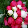 poze Buchete mireasa/ Aranjamente florale