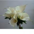 poze Buchete mireasa/ Aranjamente florale