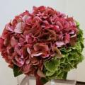 Buchete mireasa/ Aranjamente florale