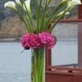 poze Buchete mireasa/ Aranjamente florale