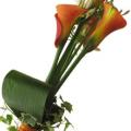 Buchete mireasa/ Aranjamente florale