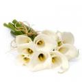 Buchete mireasa/ Aranjamente florale