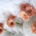 Buchete mireasa/ Aranjamente florale