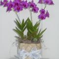 Buchete mireasa/ Aranjamente florale