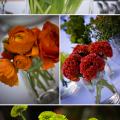 Buchete mireasa/ Aranjamente florale