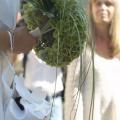 Buchete mireasa/ Aranjamente florale