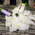 Buchete mireasa/ Aranjamente florale