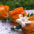 Buchete mireasa/ Aranjamente florale