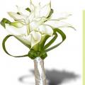 Buchete mireasa/ Aranjamente florale